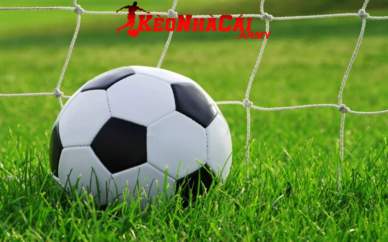 Hiểu hơn về giải đấu bóng đá